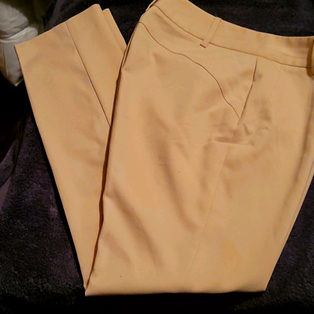 CHAUS New York Pants